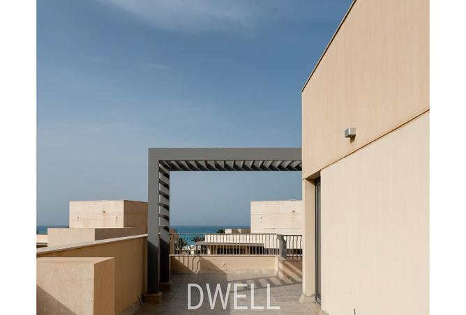 7994519 - صورة العقار 3