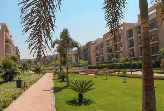 8098586 - Property Image 3