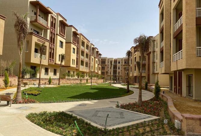 8213134 - صورة العقار 2