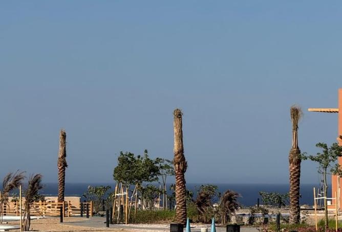 7956051 - صورة العقار 3