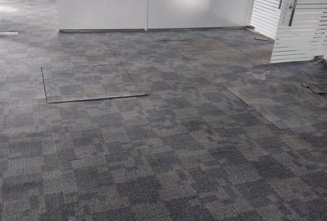 8321335 - Property Image 3