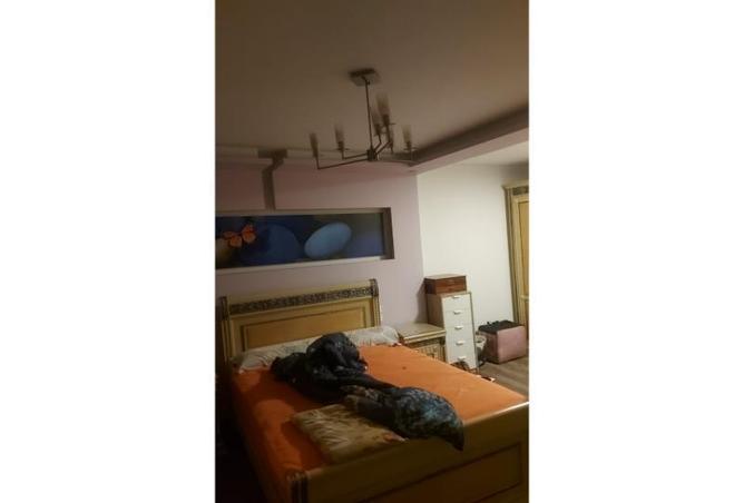 8341488 - صورة العقار 3