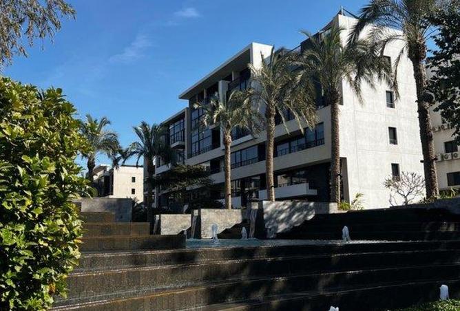 8217215 - Property Image 3