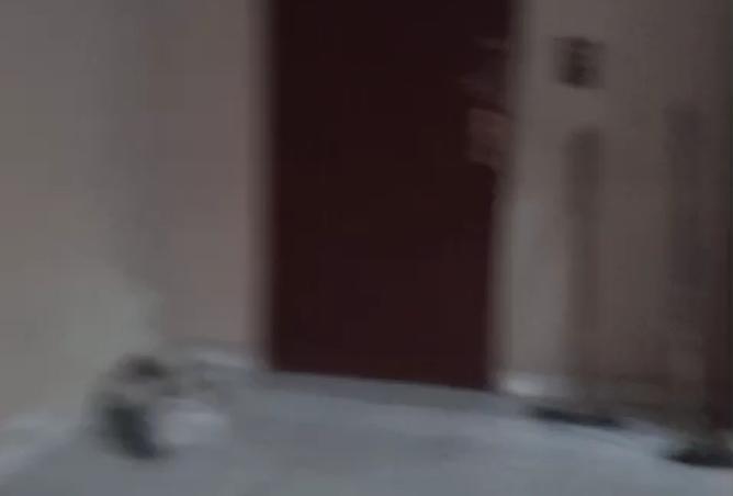 8173829 - صورة العقار 3