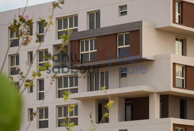 8332282 - Property Image 3