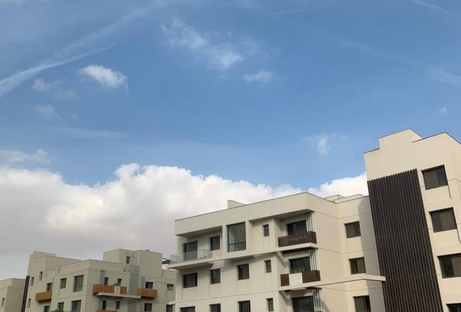 7998236 - صورة العقار 2