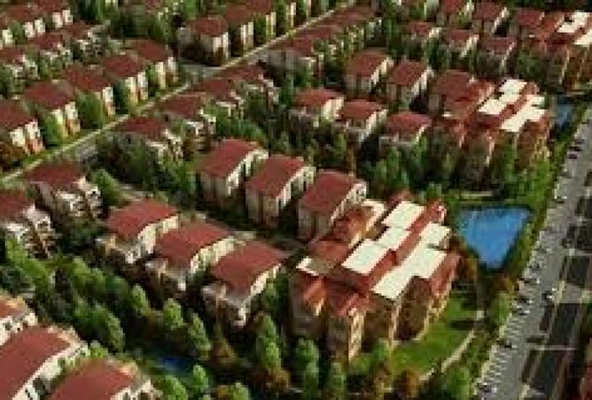 7929356 - Property Image 3
