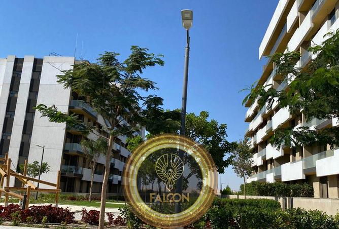 8418357 - Property Image 3