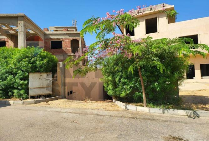 8385869 - Property Image 3