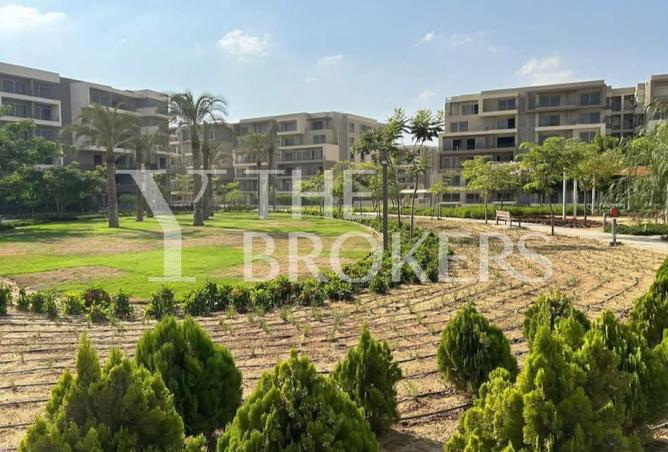 8022145 - صورة العقار 2