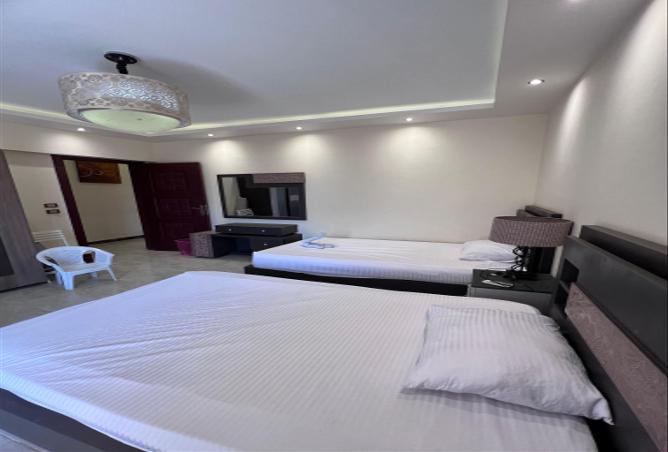 7974767 - Property Image 3