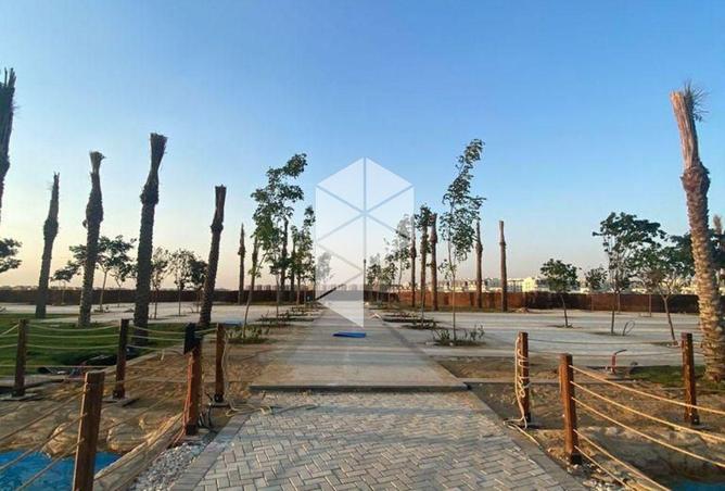 8312572 - Property Image 3