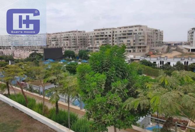 7958456 - صورة العقار 2