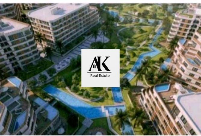 8348341 - Property Image 3