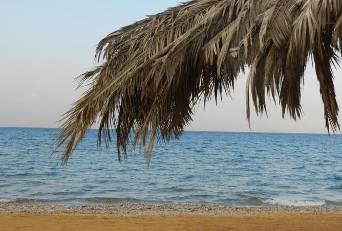 8423050 - Property Image 2