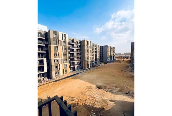 8353974 - Property Image 2