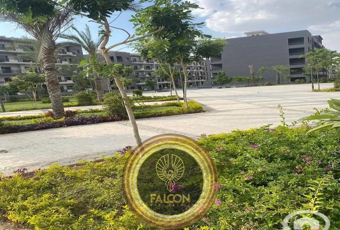 8433178 - Property Image 3