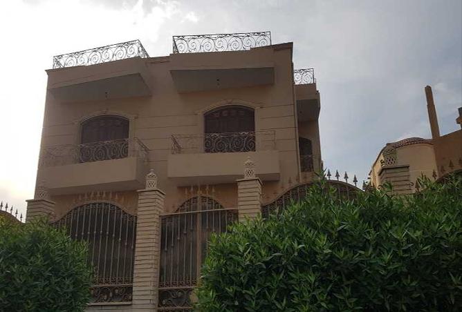 8008019 - صورة العقار 2