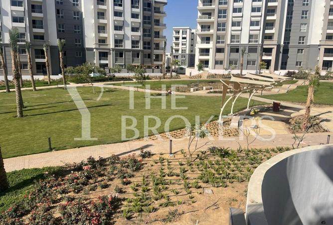 8118213 - Property Image 3
