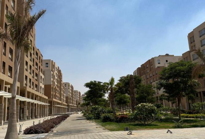 8060348 - Property Image 3