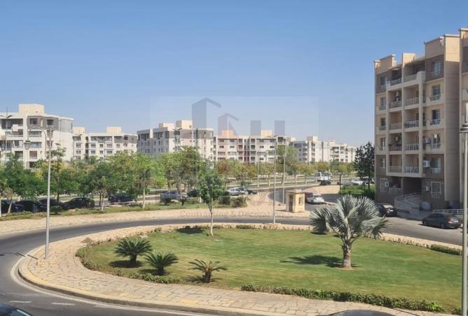 7999117 - صورة العقار 3