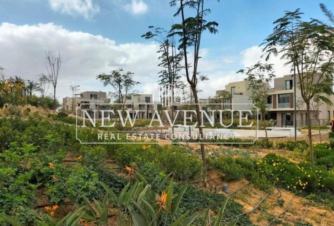 8360161 - Property Image 3