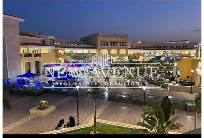 8269042 - Property Image 3