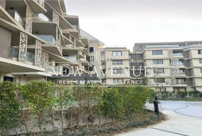 8243701 - Property Image 3