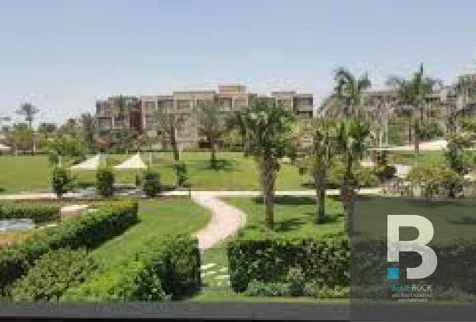 8168713 - Property Image 3