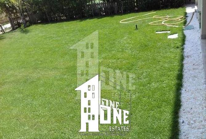 8025242 - Property Image 2