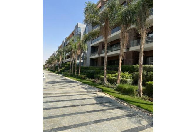 8240986 - Property Image 2