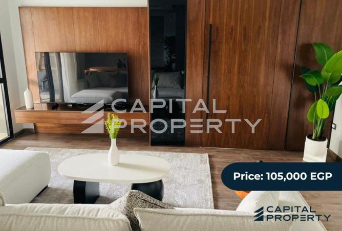 8151124 - Property Image 3