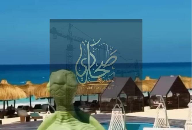 8287260 - Property Image 3