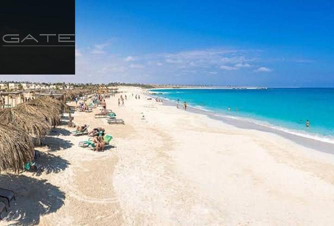 7939319 - صورة العقار 2