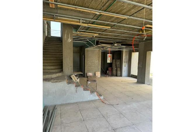 8359274 - Property Image 3