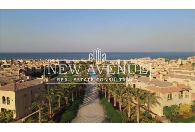 8334280 - Property Image 3