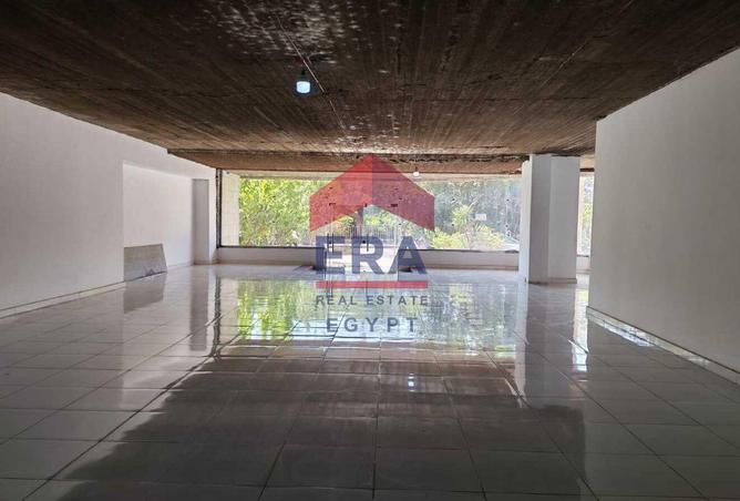 8381615 - صورة العقار 2