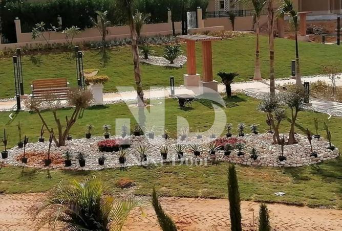 8453563 - الصورة الرئيسية للعقار