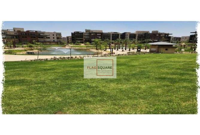 8504299 - Property Image 3