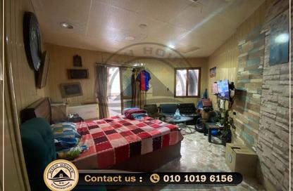 Office Space - Studio - 2 Bathrooms for sale in Ahmed Orabi St. - El Mansheya - Hay El Gomrok - Alexandria
