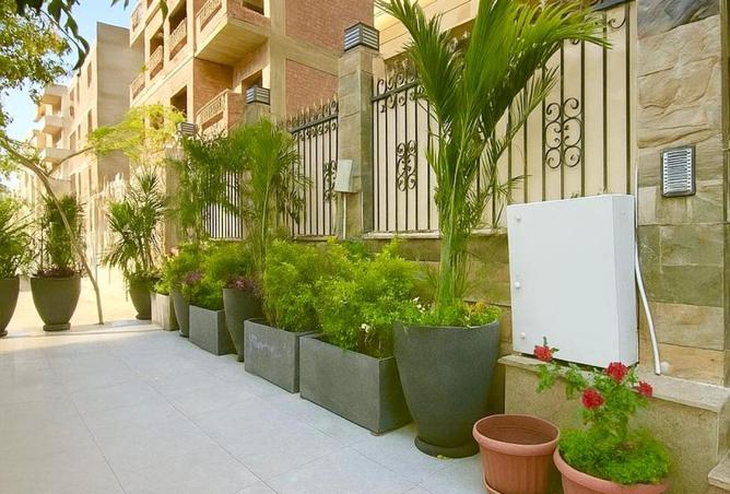 8243068 - صورة العقار 3