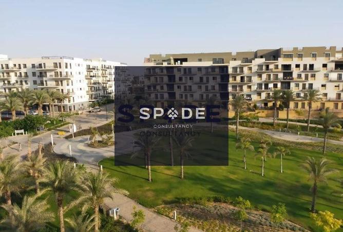 7956925 - صورة العقار 2