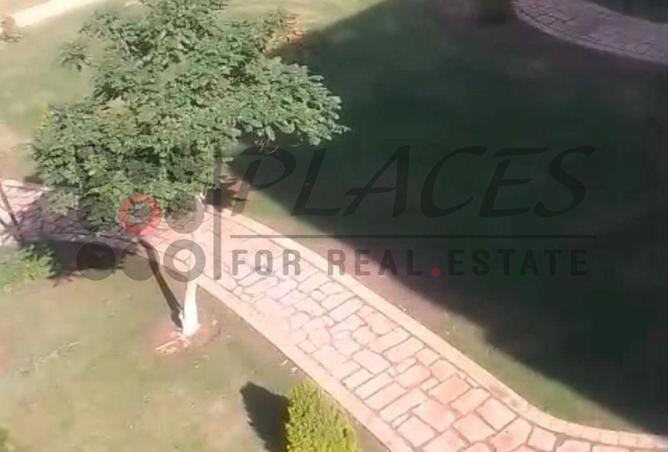 8447236 - Property Image 3