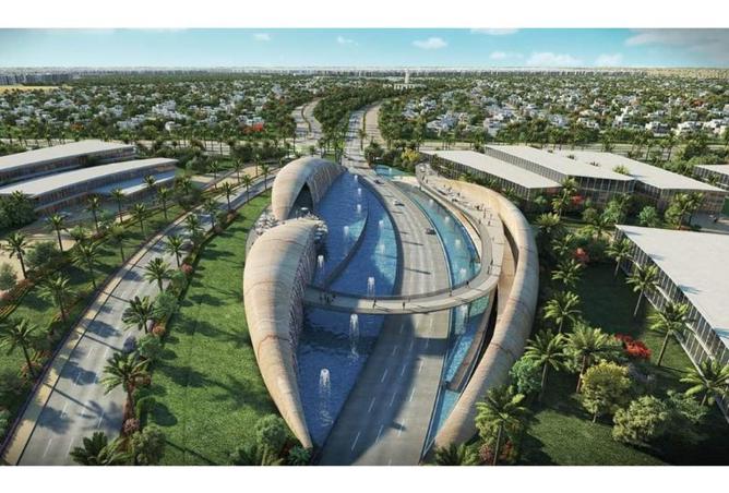 8240620 - Property Image 3