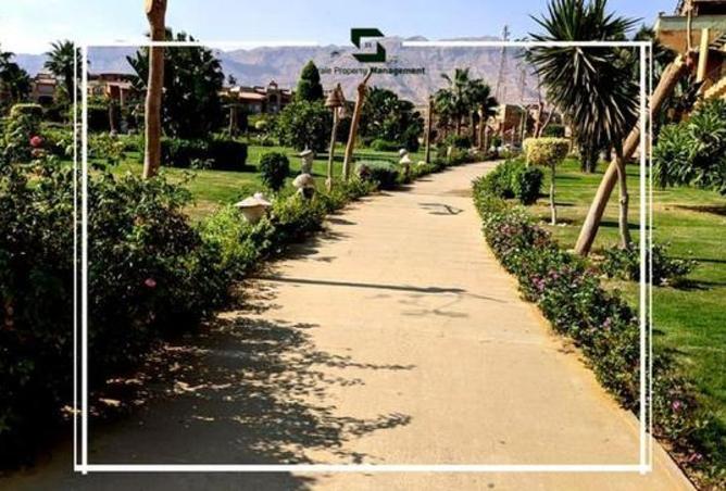 8024823 - صورة العقار 3