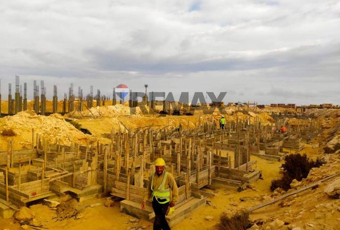 8073443 - Property Image 3