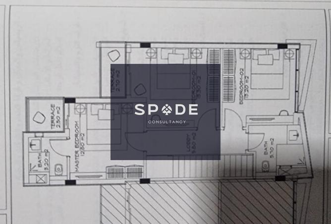 8197318 - Property Image 3