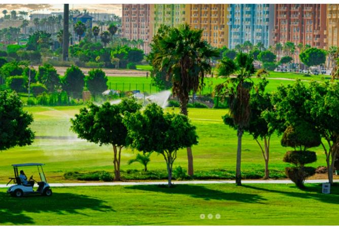 8483776 - Property Image 3