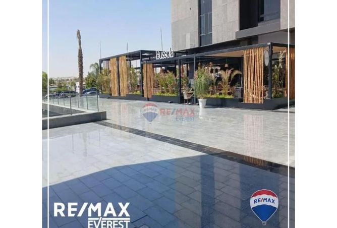 8218956 - Property Image 3