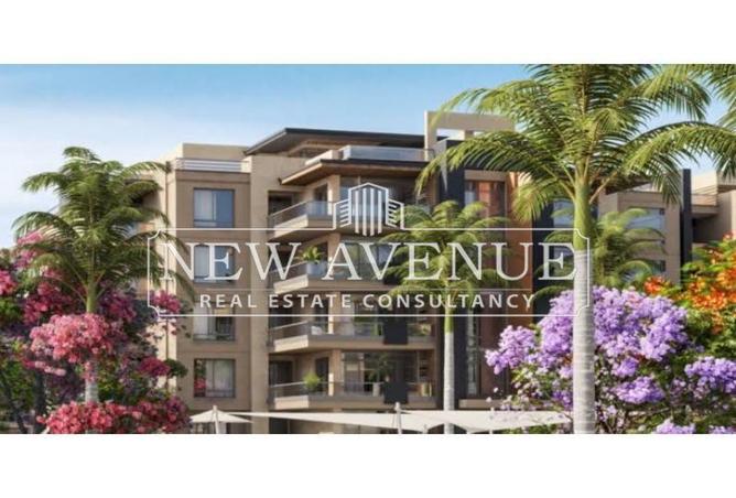 8432374 - Property Image 2